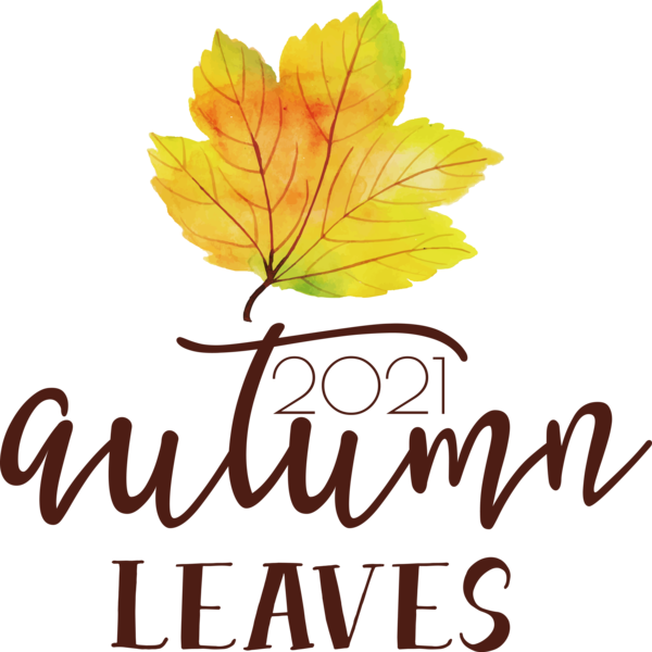 Transparent thanksgiving Leaf Maple leaf Tree for Fall Leaves for Thanksgiving