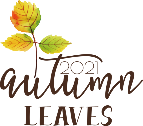 Transparent thanksgiving Leaf Cut flowers Logo for Fall Leaves for Thanksgiving