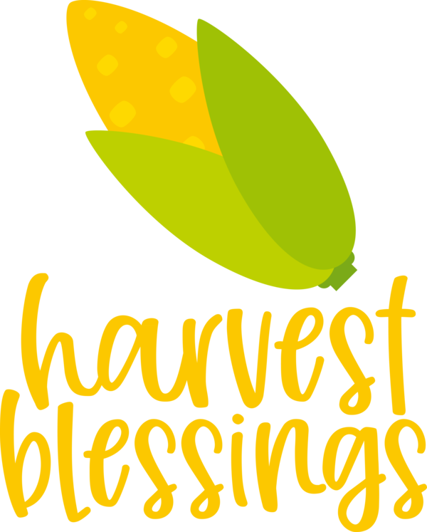 Transparent thanksgiving Leaf Logo Drawing for Harvest for Thanksgiving