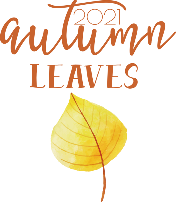 Transparent thanksgiving Leaf Line Petal for Fall Leaves for Thanksgiving