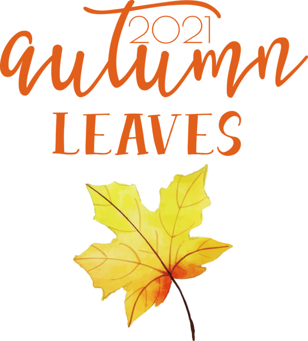 Transparent thanksgiving Leaf Maple leaf Flower for Fall Leaves for Thanksgiving