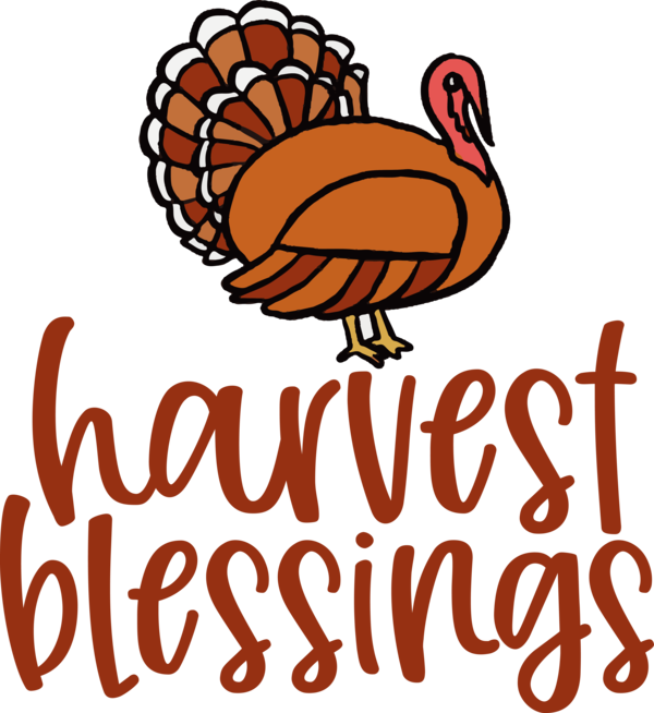 Transparent thanksgiving Birds Landfowl Toucans for Harvest for Thanksgiving