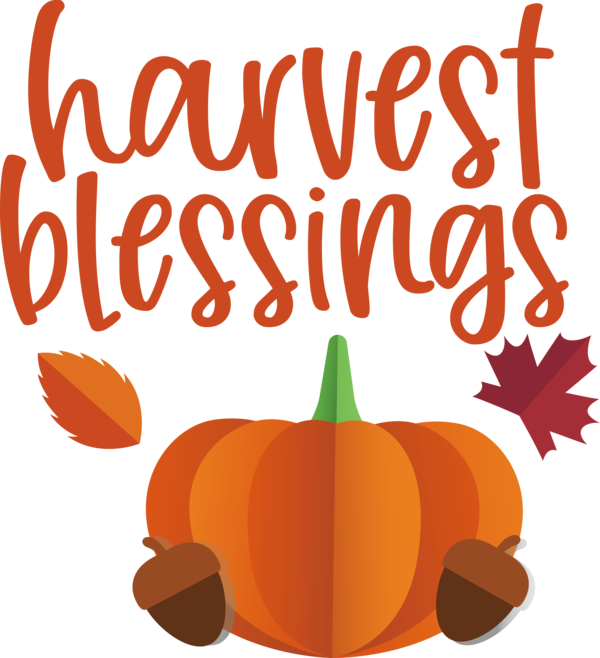 Transparent thanksgiving Jack-o'-lantern Flower Cricut for Harvest for Thanksgiving