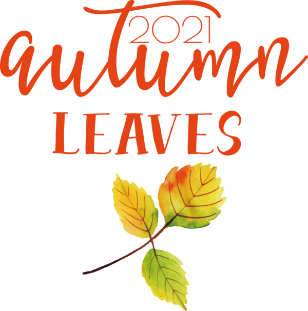 Transparent thanksgiving Leaf Flower Line for Fall Leaves for Thanksgiving