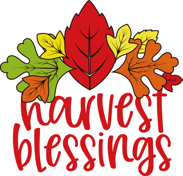 Transparent thanksgiving Floral design Leaf Cut flowers for Harvest for Thanksgiving