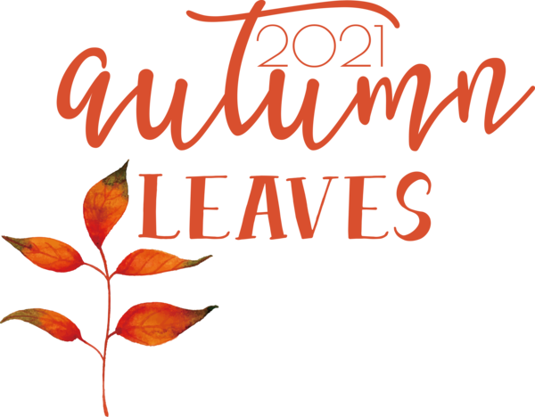 Transparent thanksgiving Leaf Line Petal for Fall Leaves for Thanksgiving