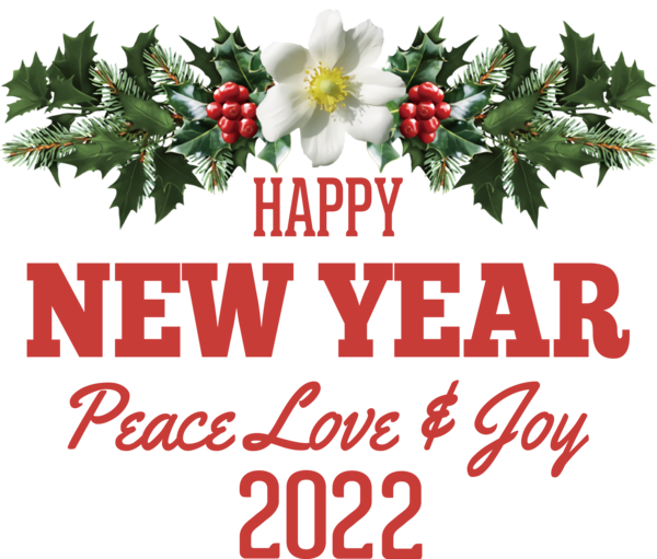 Transparent New Year Mistletoe Christmas Day Design for Happy New Year 2022 for New Year