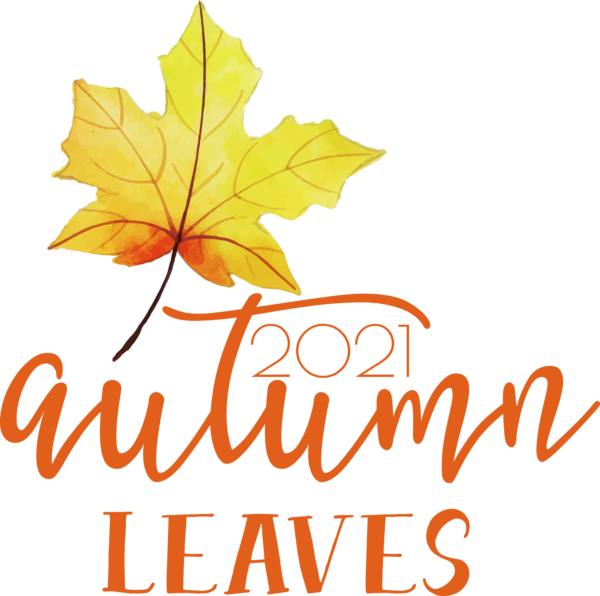 Transparent thanksgiving Leaf Maple leaf Tree for Fall Leaves for Thanksgiving