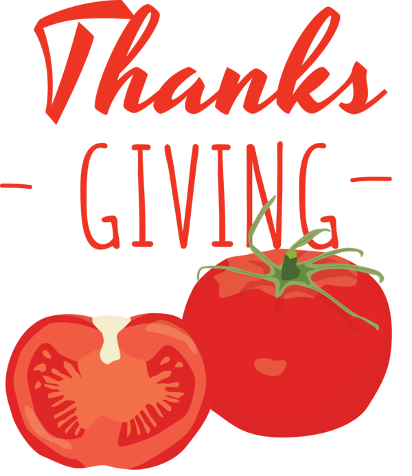 Transparent Thanksgiving Tomato  Natural food for Give Thanks for Thanksgiving