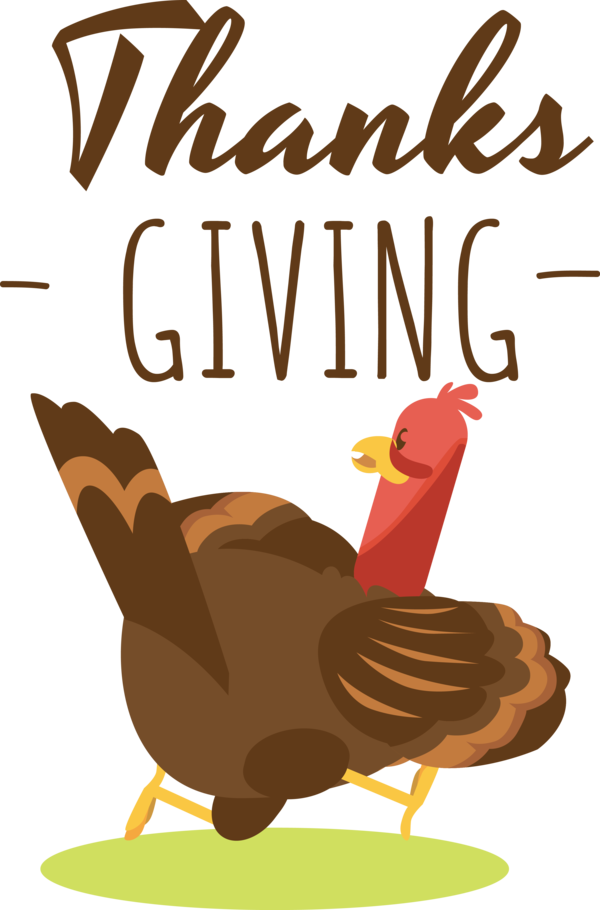 Transparent Thanksgiving Landfowl Chicken Beak for Give Thanks for Thanksgiving