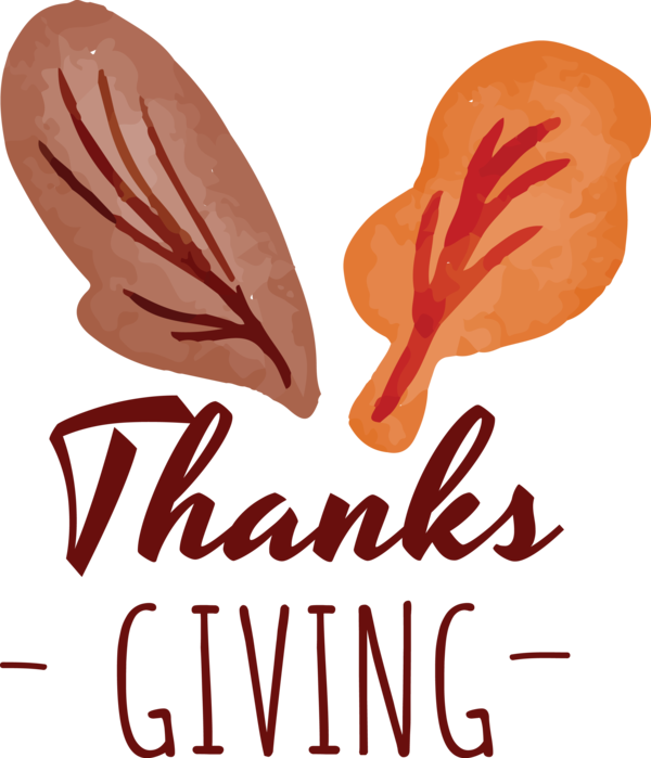 Transparent Thanksgiving Flower Petal Meter for Happy Thanksgiving for Thanksgiving