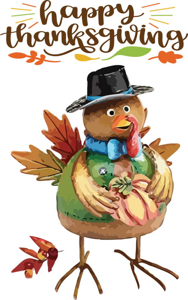 Transparent Thanksgiving Cartoon Drawing Animation for Thanksgiving Turkey for Thanksgiving