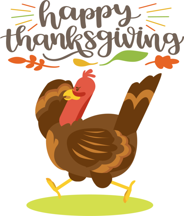 Transparent Thanksgiving Landfowl Fowl Chicken for Thanksgiving Turkey for Thanksgiving
