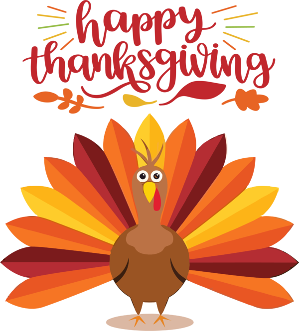 Transparent Thanksgiving Birds Flower Cartoon for Thanksgiving Turkey for Thanksgiving