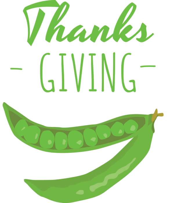Transparent Thanksgiving Leaf Plant stem Vegetable for Give Thanks for Thanksgiving