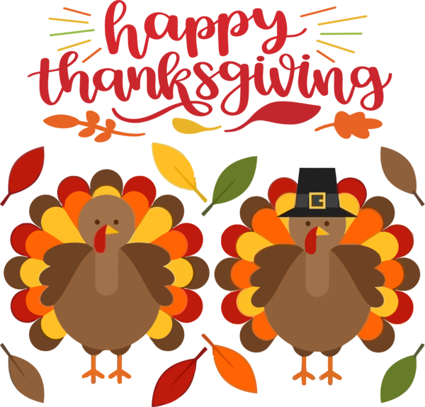 Transparent Thanksgiving Wild turkey Thanksgiving Thanksgiving turkey for Thanksgiving Turkey for Thanksgiving
