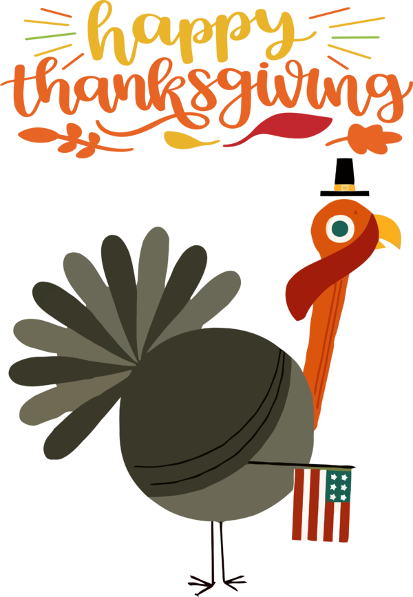 Transparent Thanksgiving Flower Landfowl Chicken for Thanksgiving Turkey for Thanksgiving