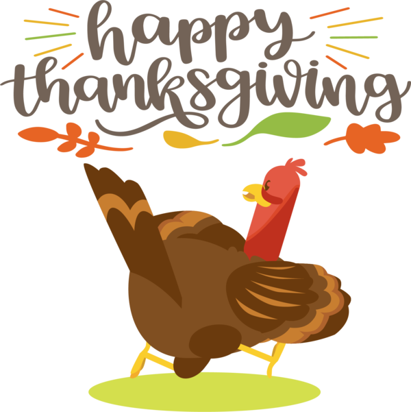 Transparent Thanksgiving Landfowl Beak Meter for Thanksgiving Turkey for Thanksgiving