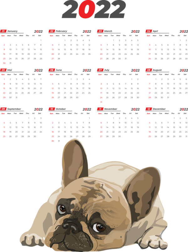 Transparent New Year Dog Design Calendar System for Printable 2022 Calendar for New Year
