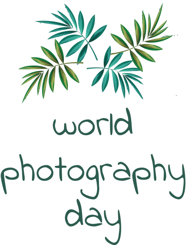 Transparent World Photography Day Photographic film Camera Painting for Photography Day for World Photography Day