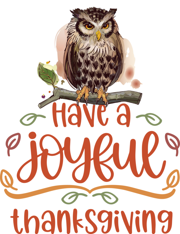 Transparent Thanksgiving Owls Birds Beak for Happy Thanksgiving for Thanksgiving
