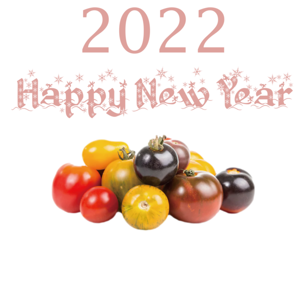 Transparent New Year Christmas Day Font New Year for Happy New Year 2022 for New Year