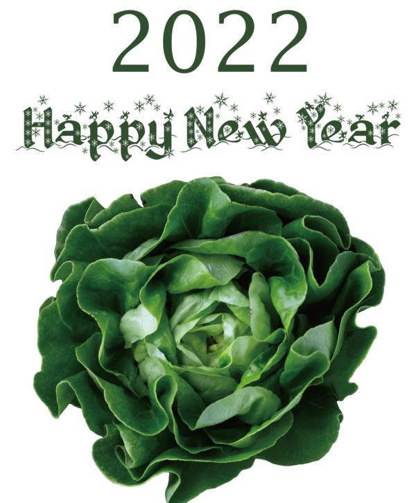 Transparent New Year Leaf vegetable Romaine lettuce Vegetable for Happy New Year 2022 for New Year