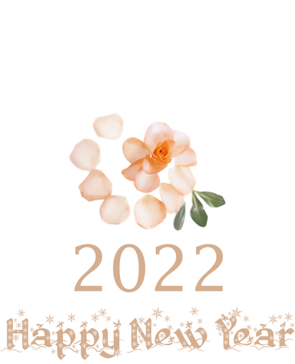 Transparent New Year Cut flowers Floral design Rose family for Happy New Year 2022 for New Year