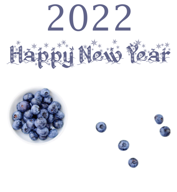 Transparent New Year Blueberries Superfood Toy drive for Happy New Year 2022 for New Year