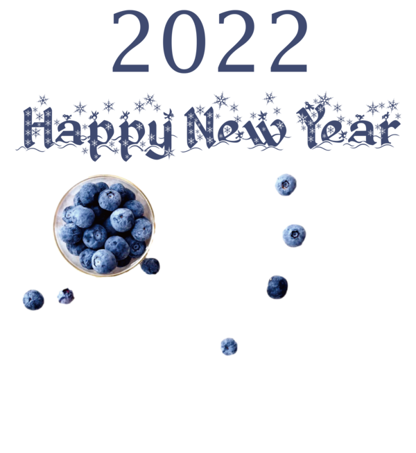 Transparent New Year Toy drive Blueberries Design for Happy New Year 2022 for New Year