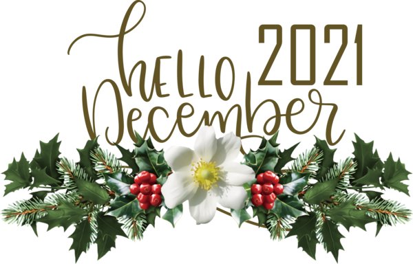 Transparent Christmas Mistletoe Christmas Day Viscum album for Hello December for Christmas