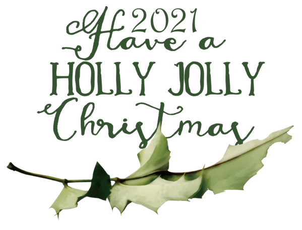 Transparent Christmas Christmas Day Drawing Christmas Graphics for Holly for Christmas