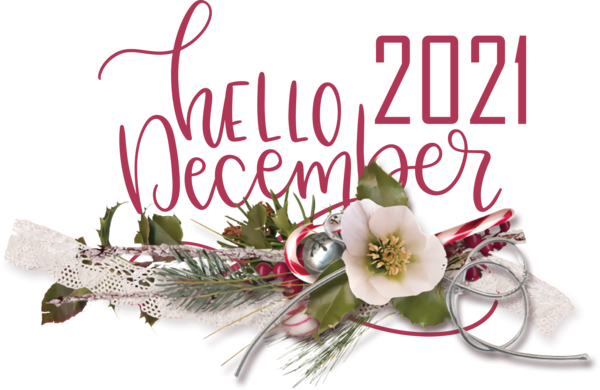 Transparent Christmas New year 2022 Nouvel an 2022 Christmas Day for Hello December for Christmas