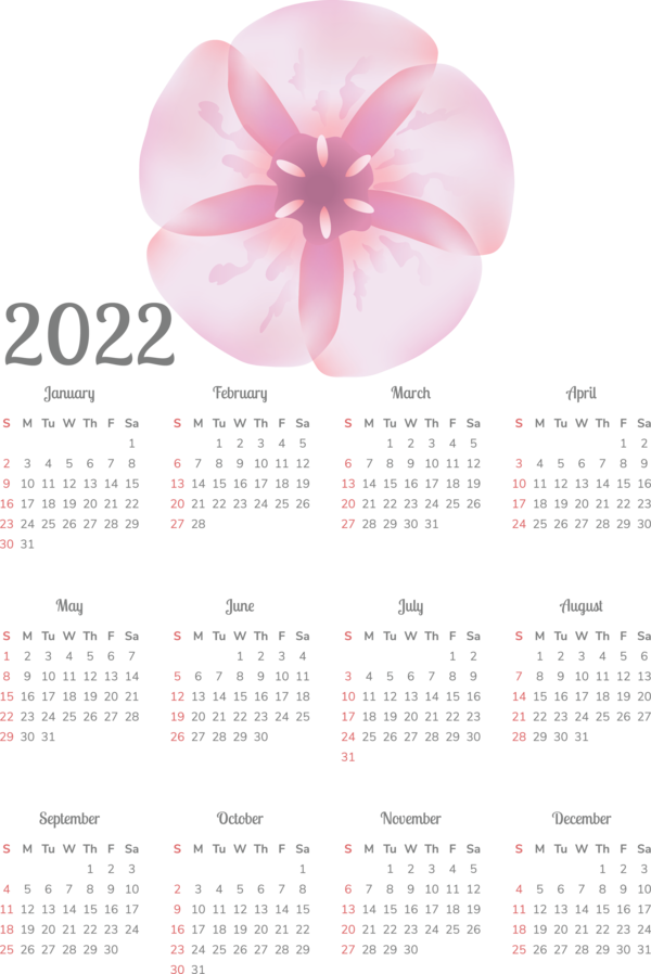 Transparent New Year Design Calendar System Flower for Printable 2022 Calendar for New Year