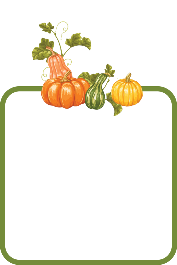 Transparent Thanksgiving Pumpkin Pumpkin pie Field pumpkin for Happy Thanksgiving for Thanksgiving