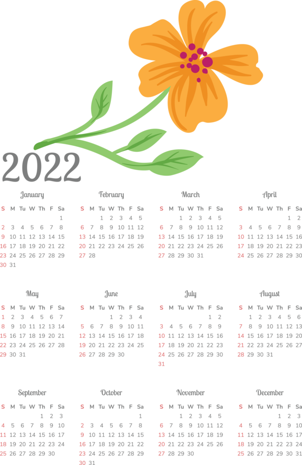 Transparent New Year Calendar System Font Flower for Printable 2022 Calendar for New Year
