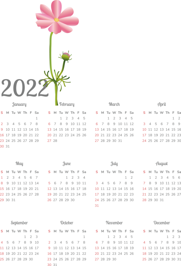 Transparent New Year Calendar System Font Flower for Printable 2022 Calendar for New Year