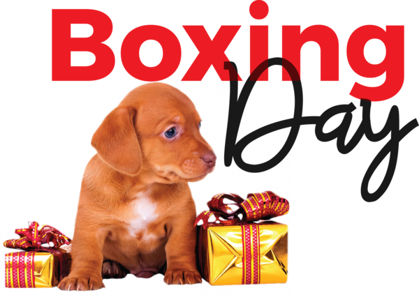 Transparent Boxing Day Dog Painting Drawing for Happy Boxing Day for Boxing Day