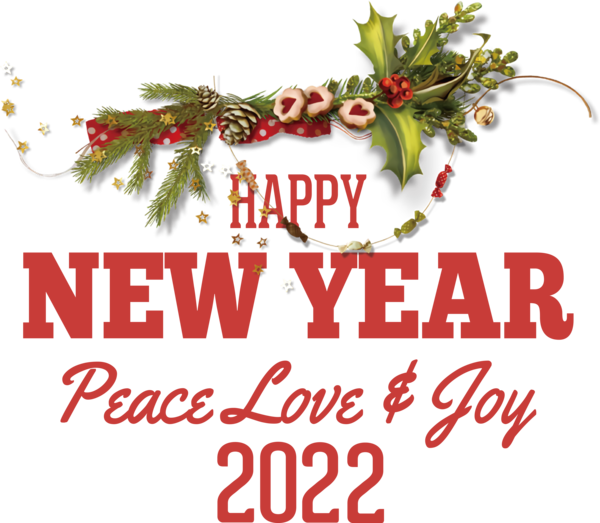 Transparent New Year Christmas Day Bauble Fir for Happy New Year 2022 for New Year