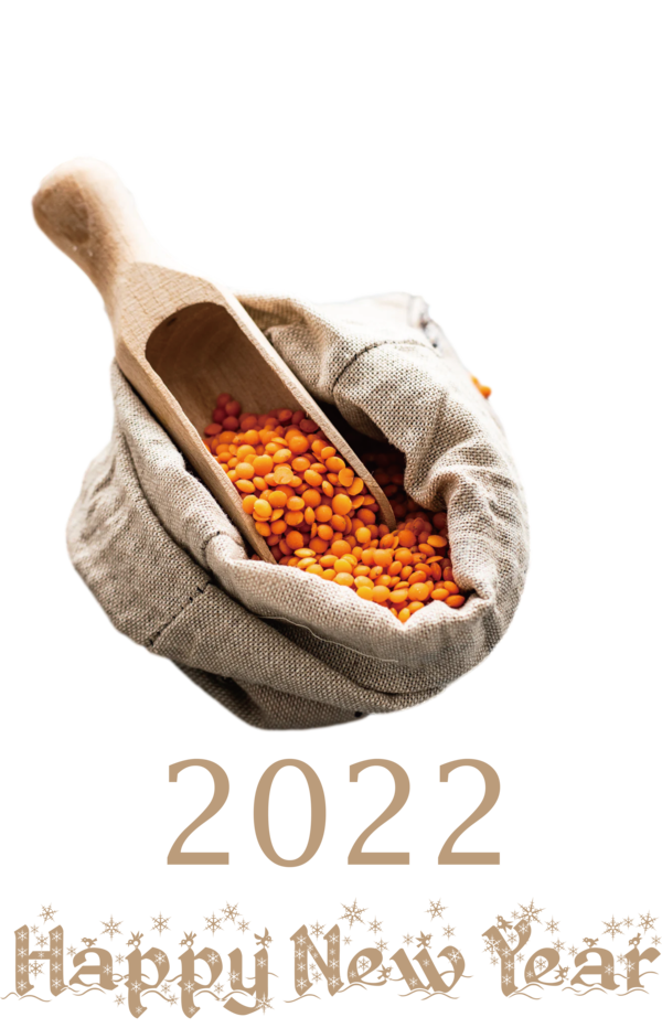 Transparent New Year Vegetarian cuisine Pasta Indian cuisine for Happy New Year 2022 for New Year