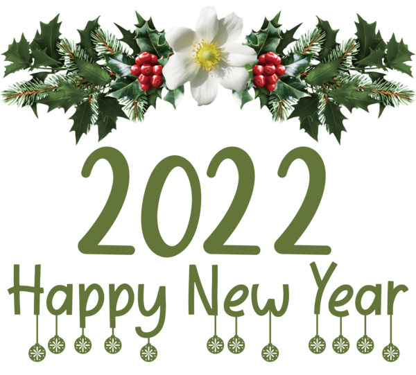 Transparent New Year New year 2022 Mrs. Claus Grinch for Happy New Year 2022 for New Year