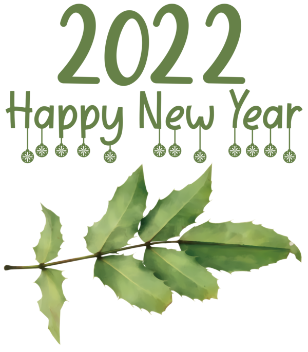 Transparent New Year New year 2022 Mrs. Claus Happy New Year 2022 for Happy New Year 2022 for New Year