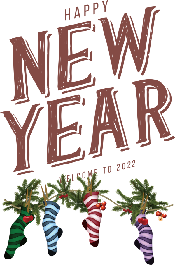 Transparent New Year Christmas Day Bauble Plant for Happy New Year 2022 for New Year