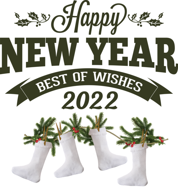 Transparent New Year Christmas Day Flower Bauble for Happy New Year 2022 for New Year