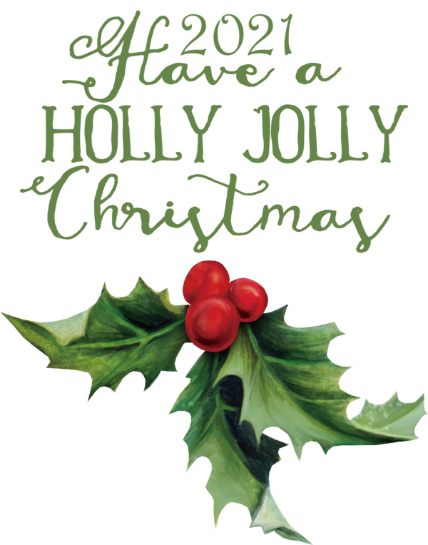 Transparent Christmas Holly Aquifoliales Christmas Day for Merry Christmas for Christmas