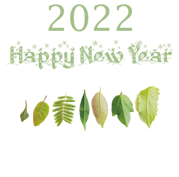 Transparent New Year Leaf Plant stem Design for Happy New Year 2022 for New Year