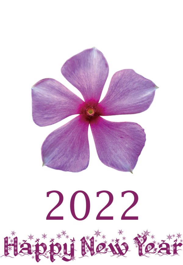Transparent New Year Flower Violet Petal for Happy New Year 2022 for New Year