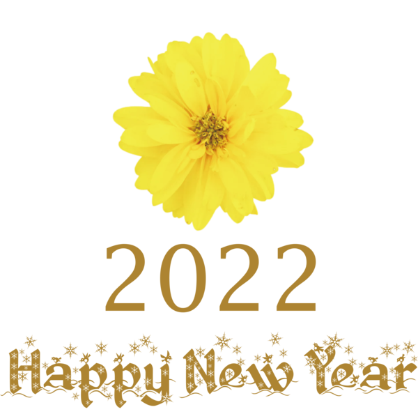 Transparent New Year Chrysanthemum Sunflower seed Cut flowers for Happy New Year 2022 for New Year