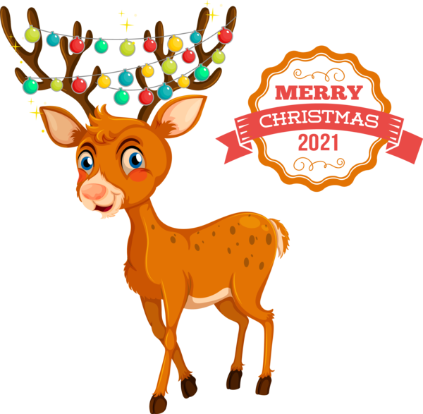Transparent Christmas Deer Reindeer White-tailed deer for Merry Christmas for Christmas