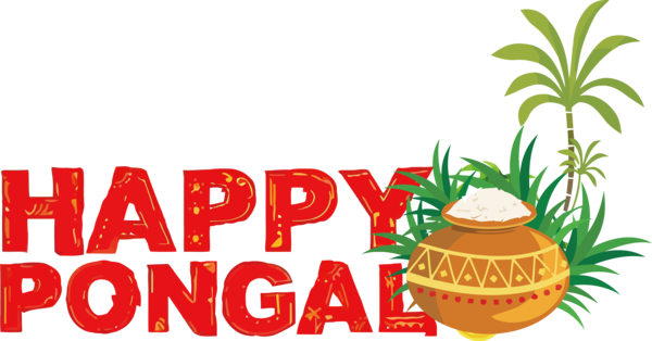 Transparent Pongal Natural food Superfood for Thai Pongal for Pongal